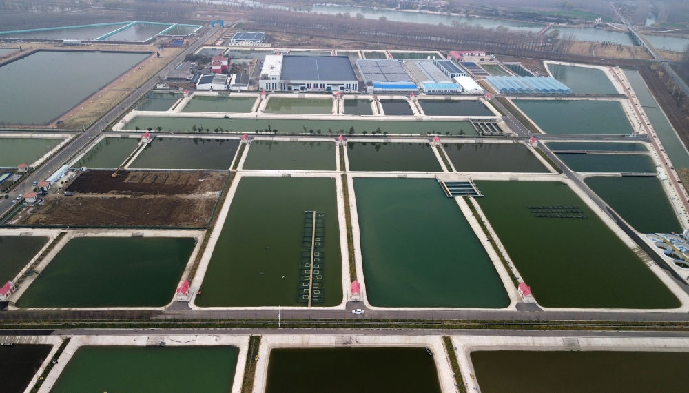   位於山東省微山縣的微山湖現代漁業產業園（2024年3月14日攝，無人機照片）。新華社記者 徐速繪 攝