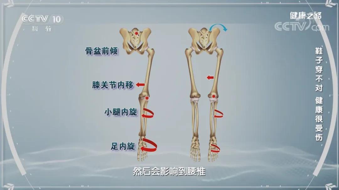 e5a6-839a44eb8d583589d512d3b729ea0627.jpg