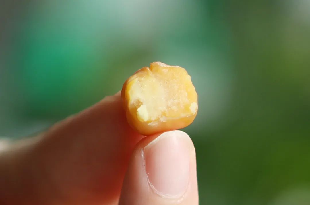 图片来源:自己拍的