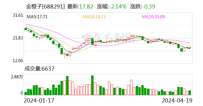 金橙子：2023年净利润同比增长8.05% 拟10派1元