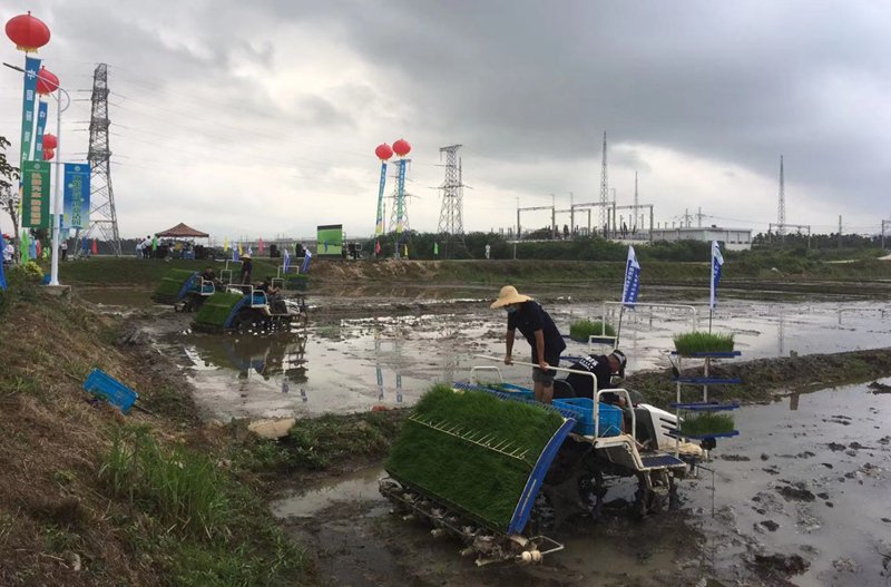 海南三亞，種業CRO企業在「幫科學家種地」。受訪者供圖