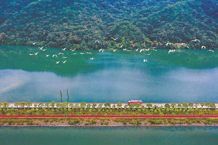 將樂縣高塘鎮常口村在青山綠水間修建起森林康養步道。 （資料圖片）