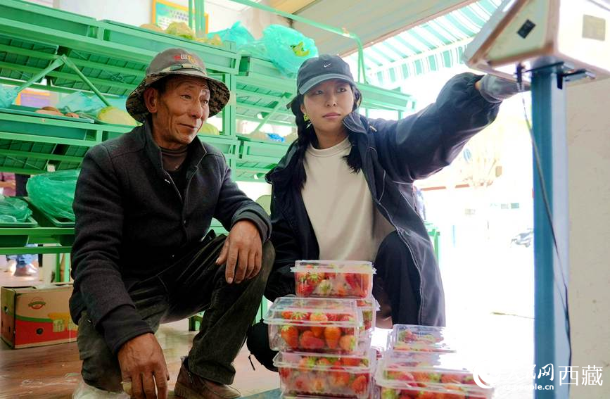 賓捷安（左一）把包裝好的草莓送往銷售點。人民日報記者 瓊達卓嘎攝