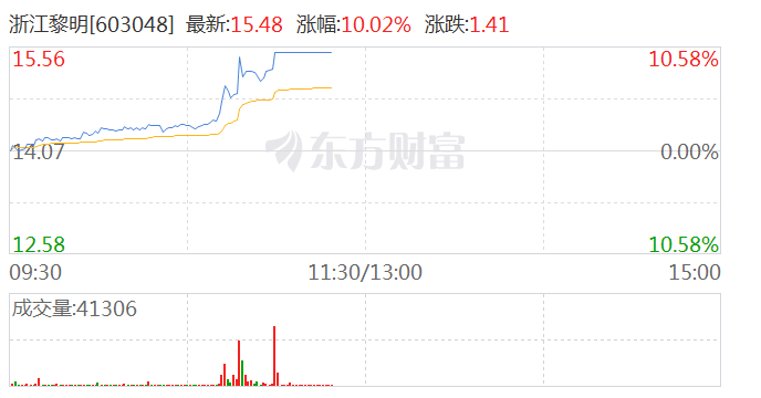 汽车零部件概念震荡拉升 浙江黎明涨停