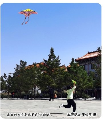 春日的天空是風箏的「運動場」。本報記者 王俊平 攝