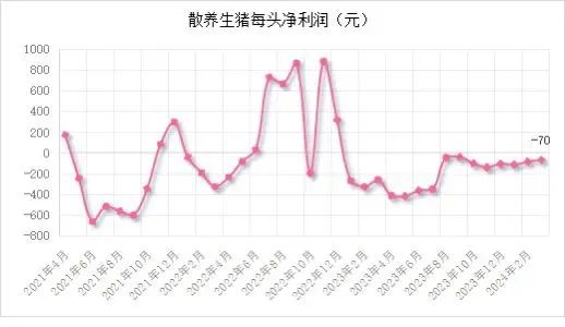 能繁母猪存栏3992万头！一季度同比下降7.3%！