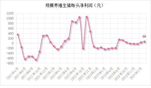 能繁母猪存栏3992万头！一季度同比下降7.3%！