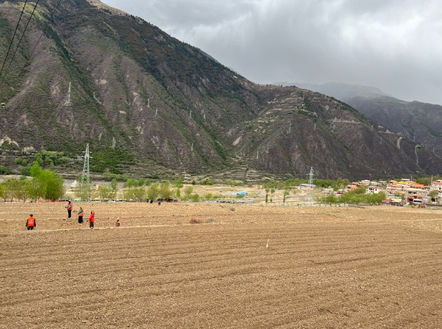 天府夏繁（马尔康）现代种业园。