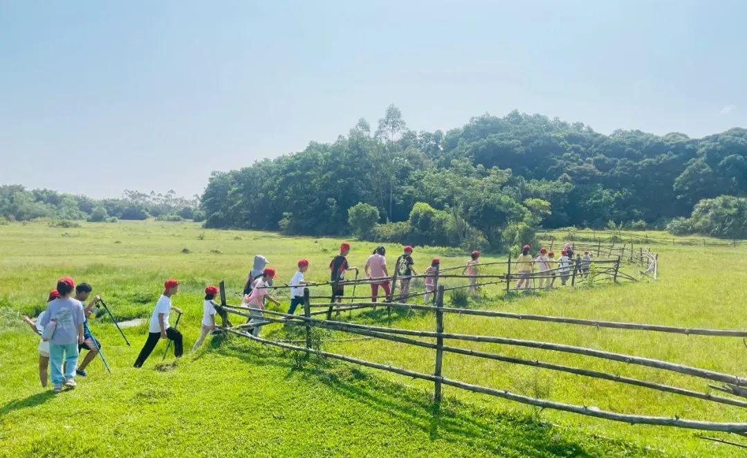 尾田游玩攻略,尾田游玩攻略大全