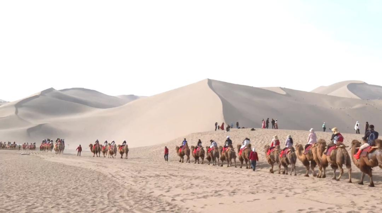 鳴沙山騎駱駝旅遊項目。網絡圖 