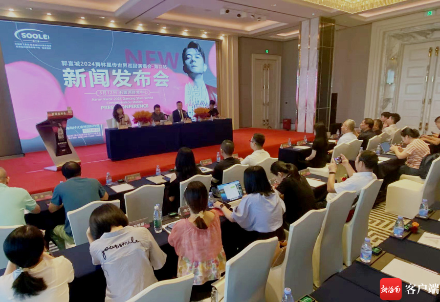 新闻发布会现场。记者 陈望 摄
