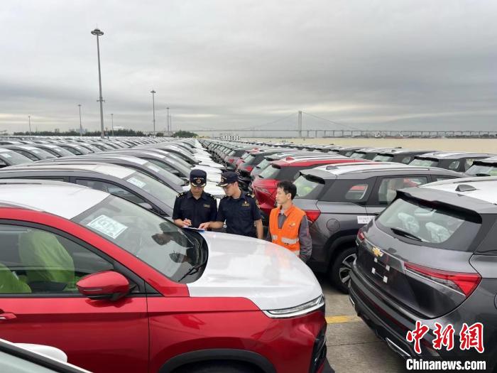 廣州海關所屬南沙海關關員在廣州南沙汽車碼頭對即將出口的汽車進行監管。廣州海關供圖