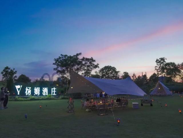 芦潮港周末游玩攻略,芦潮港周末游玩攻略大全