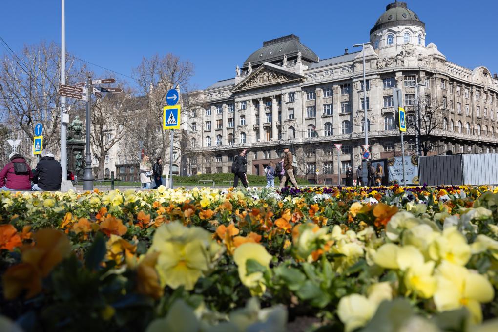   2024年3月17日，在布達佩斯，匈牙利內務部大樓前鮮花盛開。