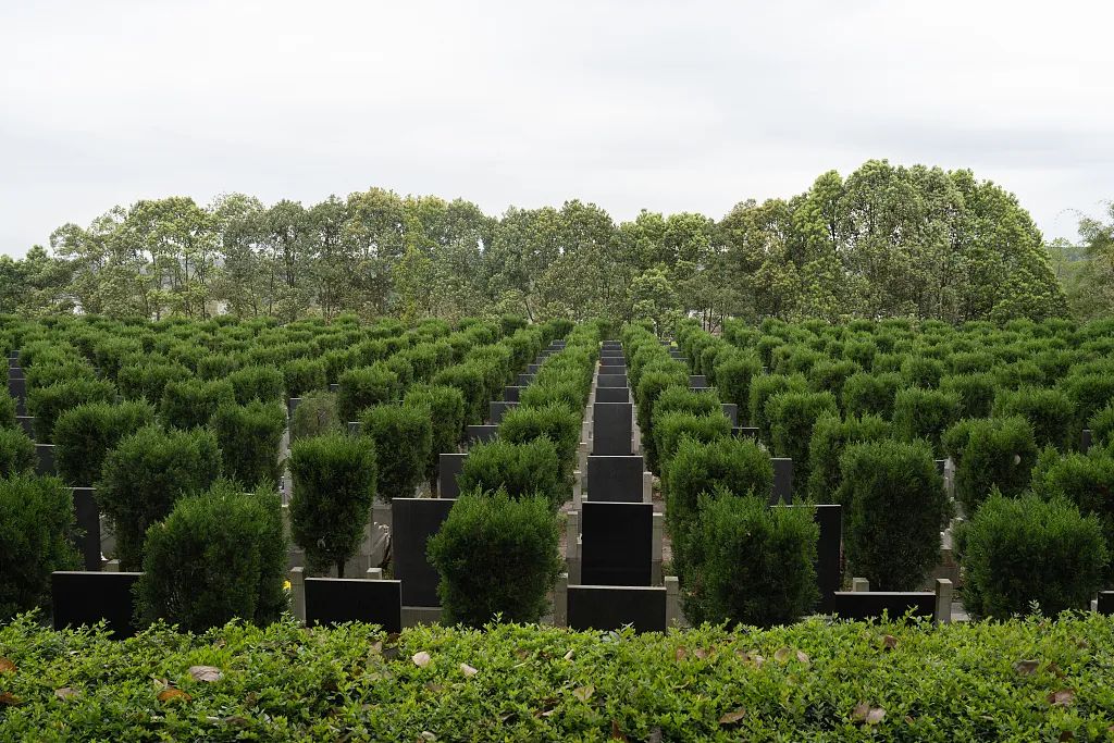 随州花2.7亿元建公墓强制居民购买？业务科室