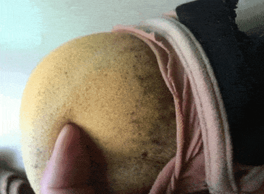 身上软软的女生 2a2e-gif7eace2de90e287478e52f9452d31a8b6.gif