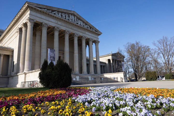 匈牙利布達佩斯美術博物館前鮮花盛開（2024年3月17日攝）。 新華社發（弗爾季·奧蒂洛攝）
