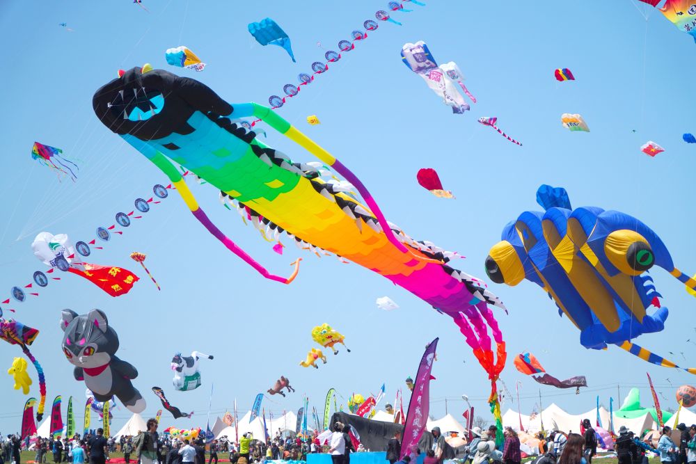 4月20日，第41屆濰坊國際風箏會萬人風箏放飛活動在山東省濰坊市世界風箏公園舉行。（徐速繪 攝）