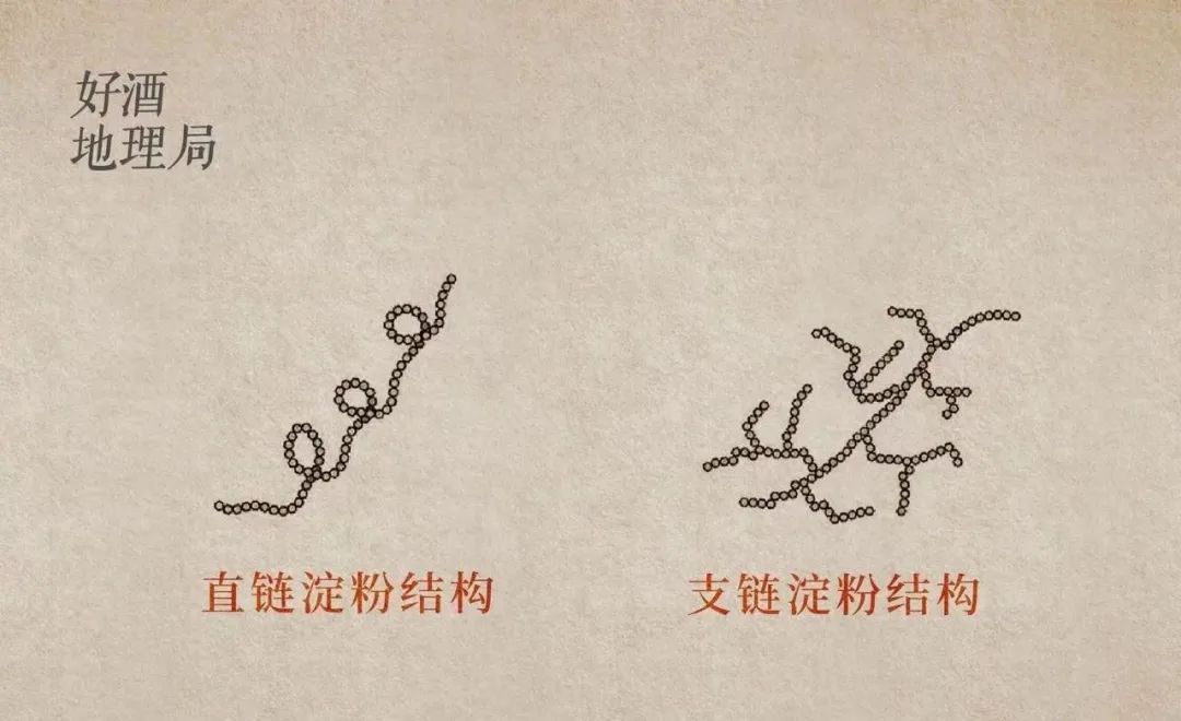 制图/好酒地理局视觉中心