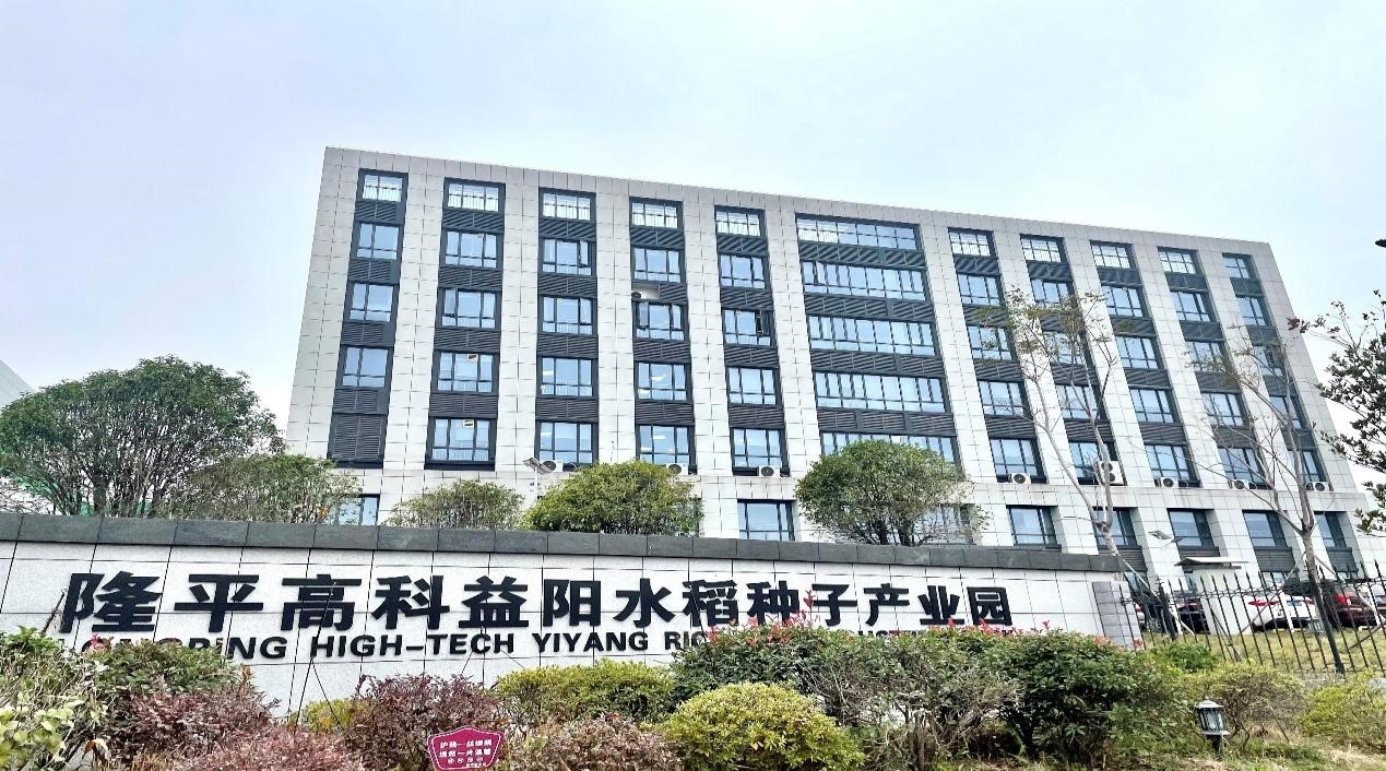 图片2:隆平高科益阳水稻种子产业园
