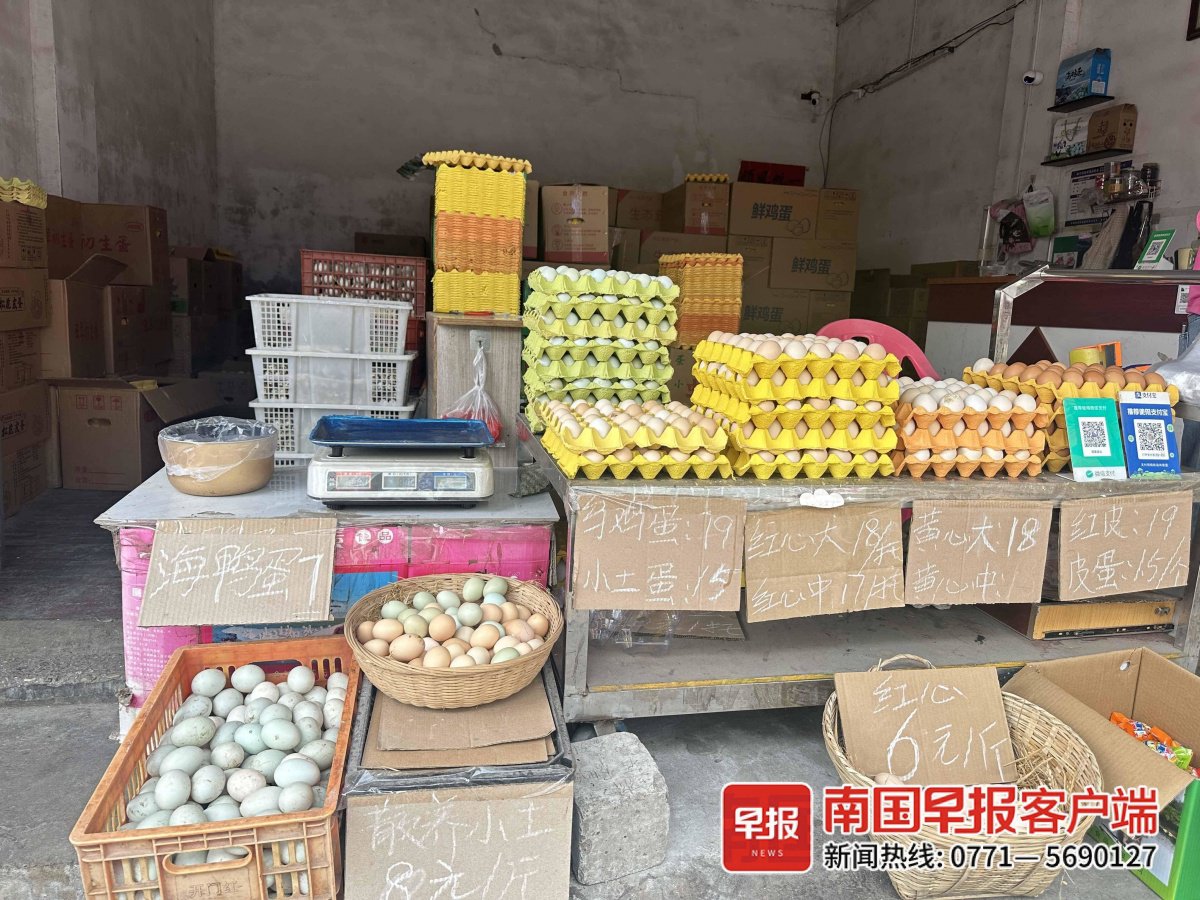 金桥农产品批发市场的鸡蛋销售价格。记者 张文卉 摄