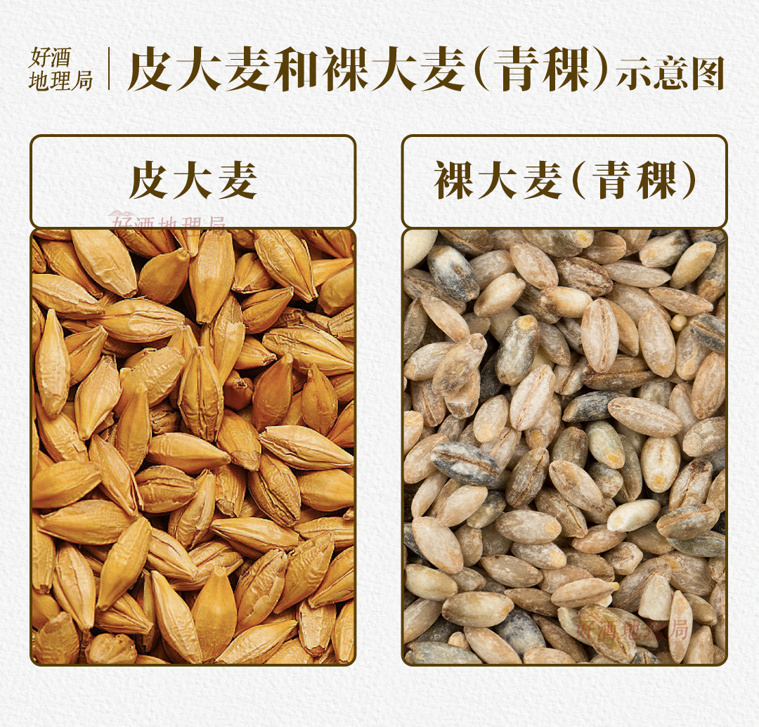 制图/好酒地理局视觉中心