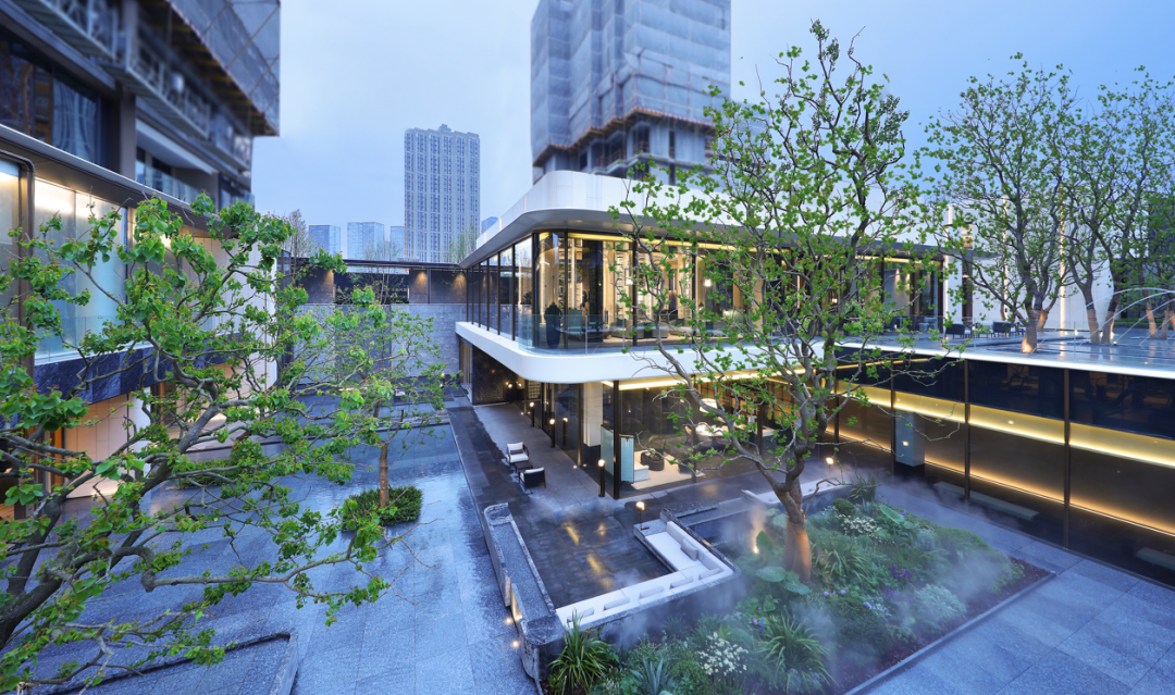 | 示范区实景 |