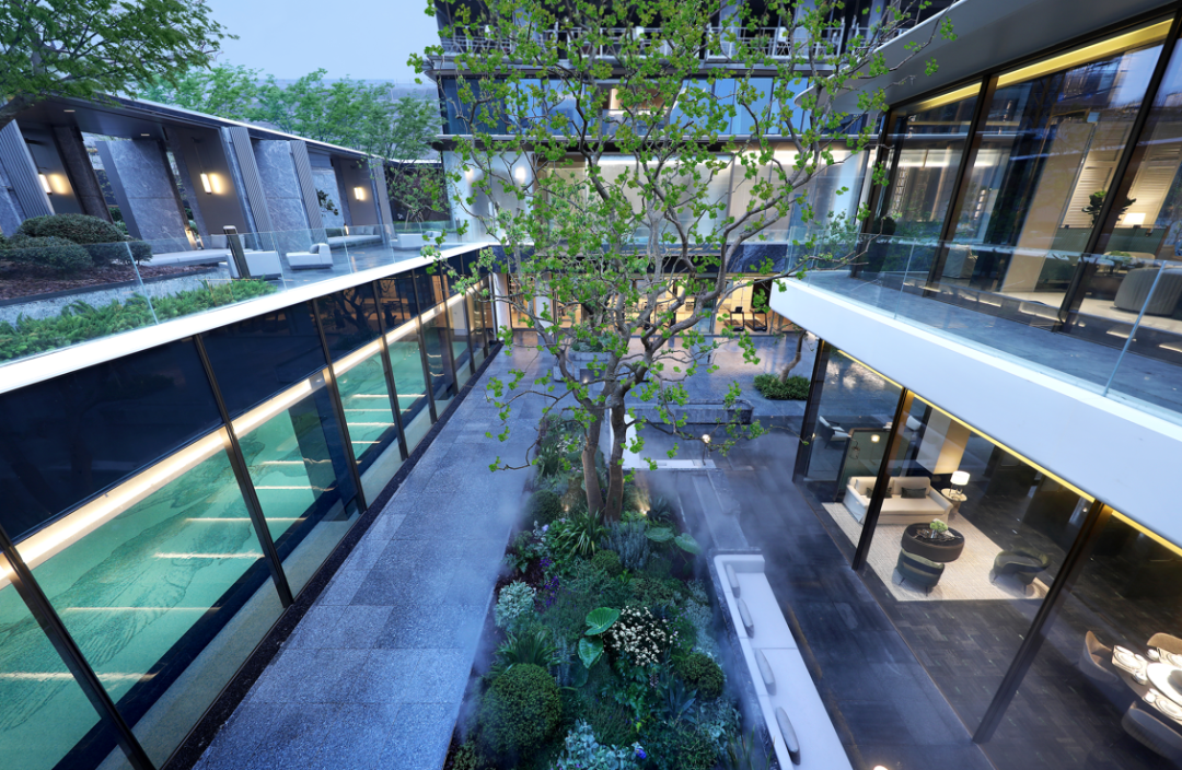 | 示范区实景 |