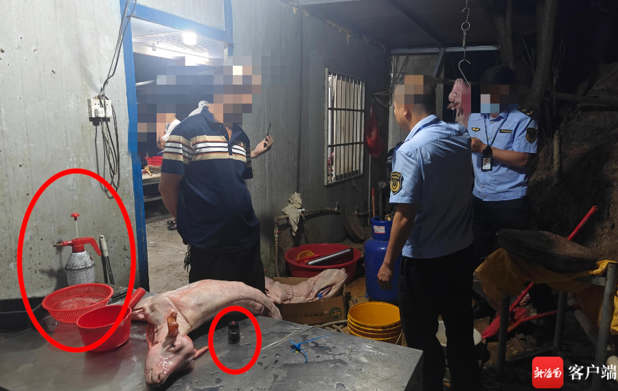 海口椰海综合批发市场一家羊肉档口门后,白条羊染色被抓现行。红圈处分别为喷壶和黑墨水。记者 姜飞 摄