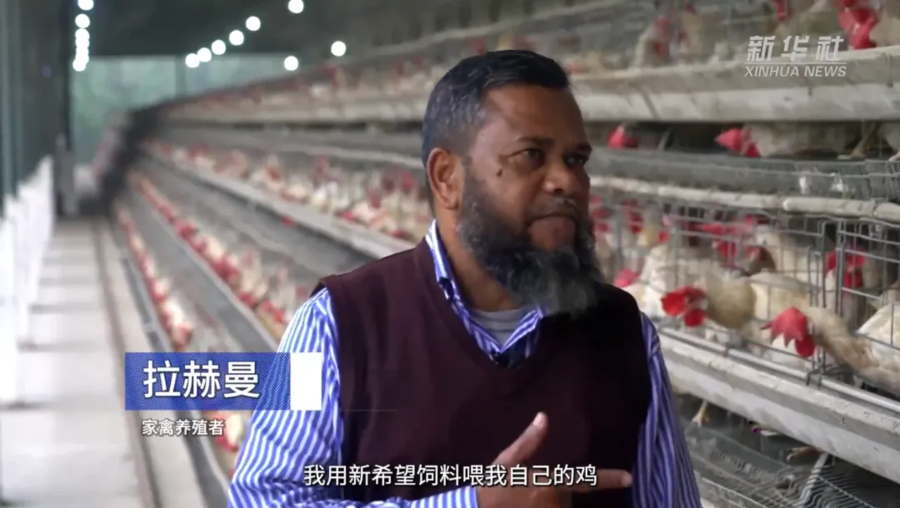 新华社采访新希望孟加拉家禽养殖户