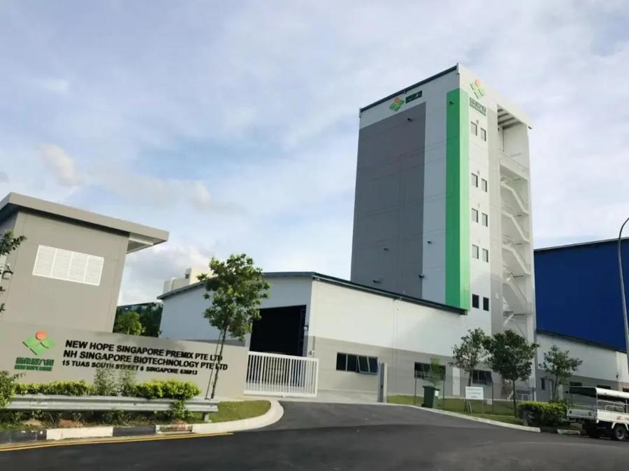 新希望新加坡公司