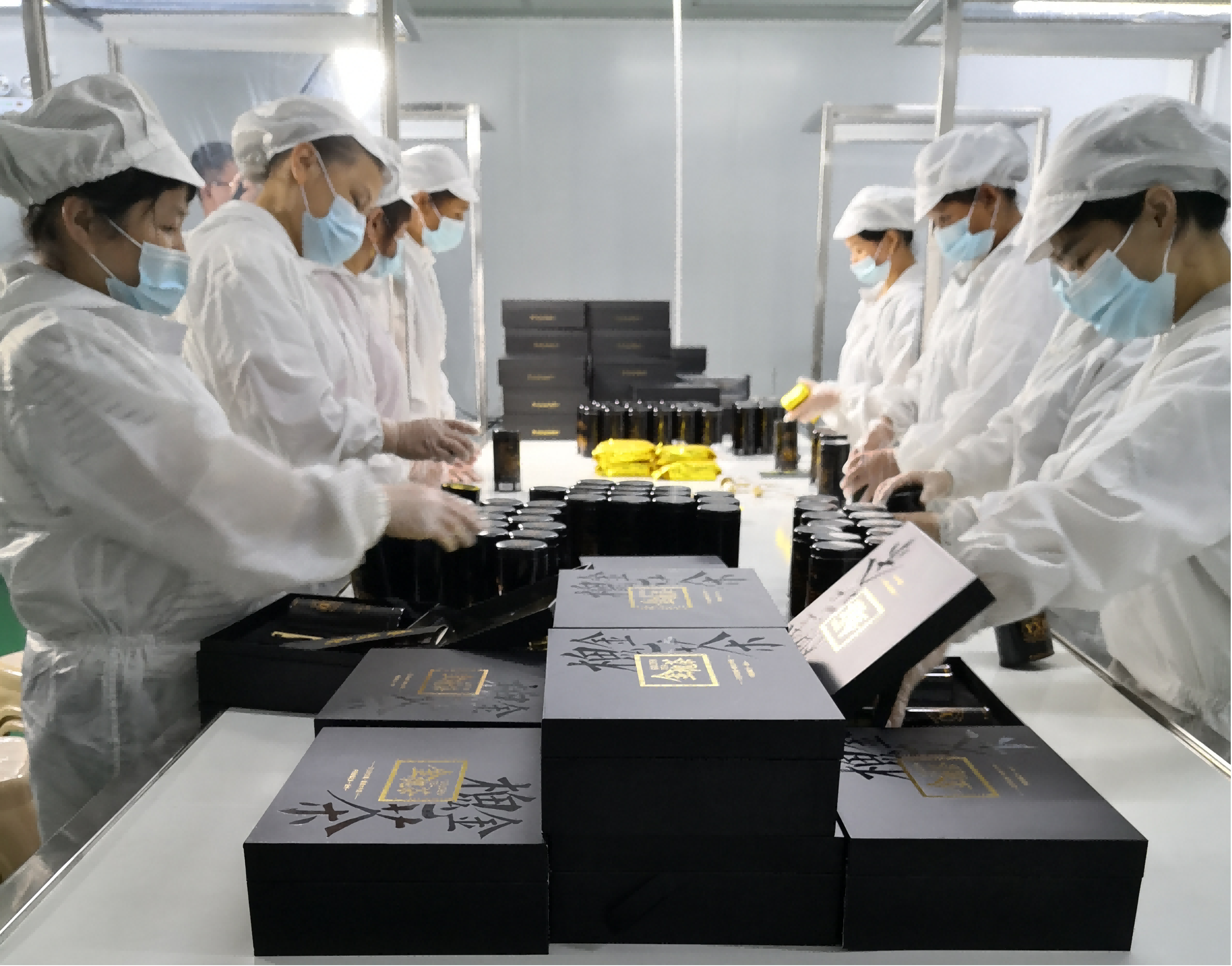 图为全州县金槐加工企业车间(资料图)