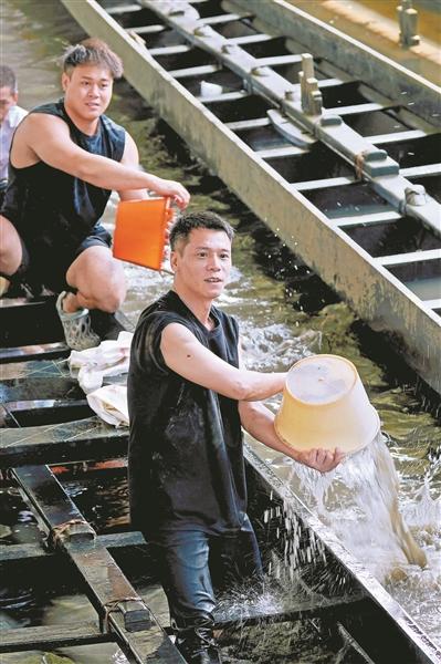村民清洗龍船。廣州日報全媒體記者莫偉濃 攝