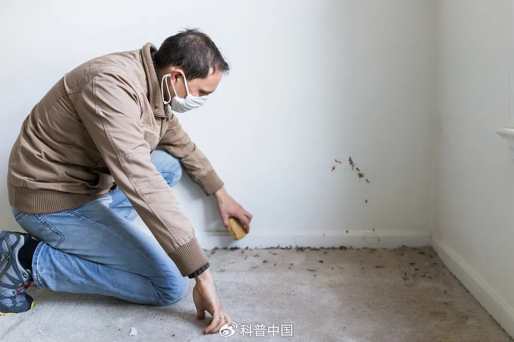 图库版权图片,转载使用可能引发版权纠纷