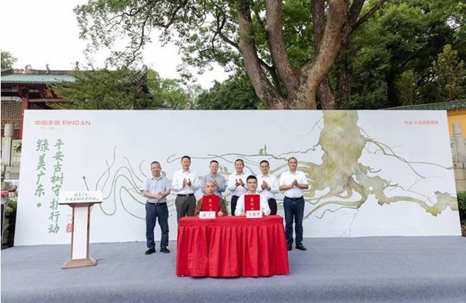 “我为古树上保险”签约仪式