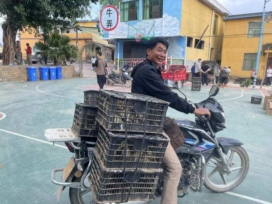 满载鸭苗而归的农户