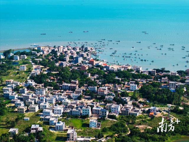 湛江東海島龜頭村，整個村子坐落在一個海灣里，因常有中華白海豚出沒，有些村民將海灣稱為「海豚灣」。陳顯耀 攝