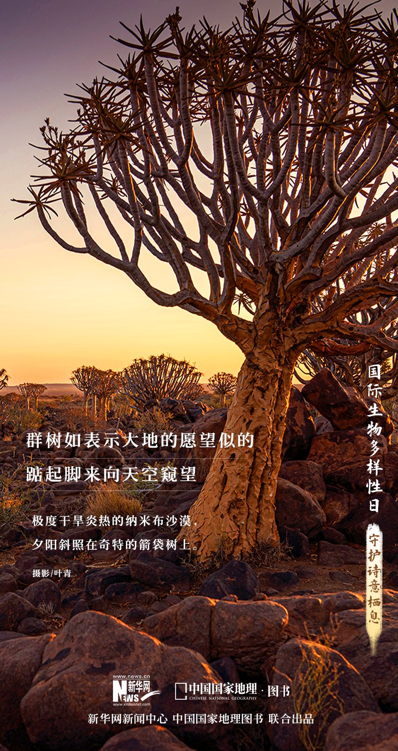 △本組生物照片選自中國國家地理攝影畫冊《生而為野》