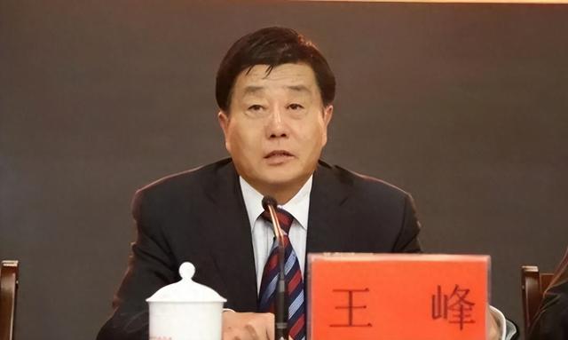 王峰(资料图)