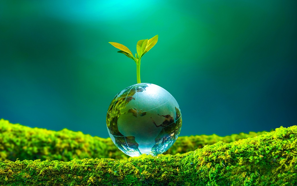 绿色加什么颜色是深绿色 3a80-595011e151b807443ba22969ff5781a3.jpg