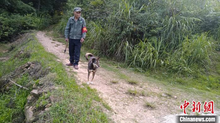生態護林員舒兆國與親密「戰友」大黃狗一起,開啟一天的巡山護林工作。石門縣林業局 供圖
