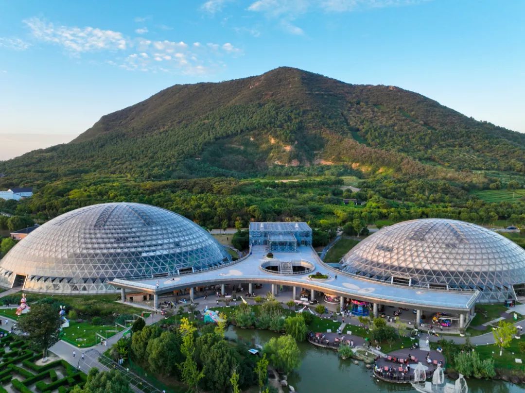图源:江苏大阳山国家森林公园