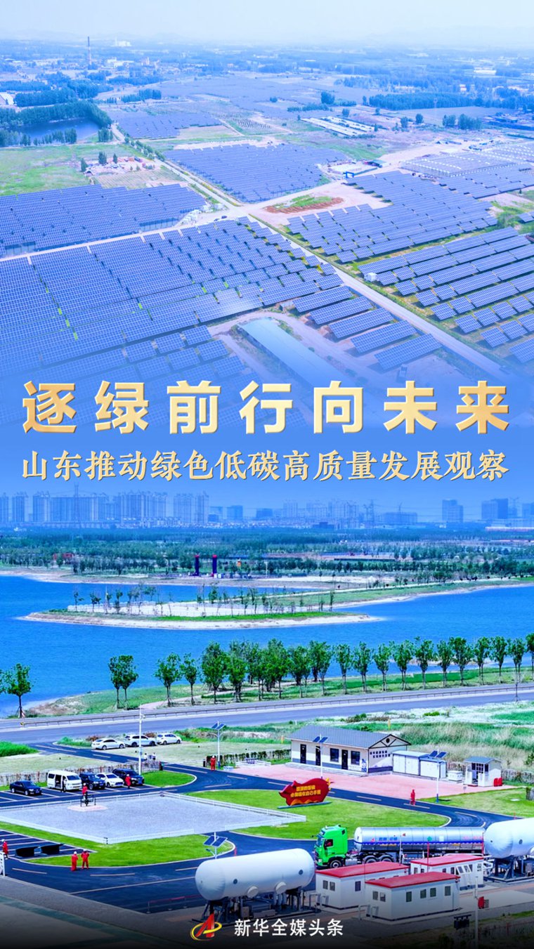逐绿前行向未来——山东推动绿色低碳高质量发展观察|山东省|绿色低碳_新浪新闻