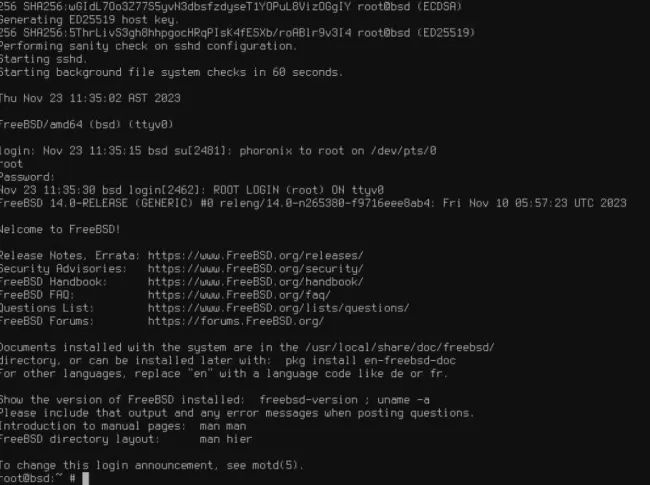 FreeBSD 14.1 维护更新发布：改进性能、升级 OpenZFS、优化音效