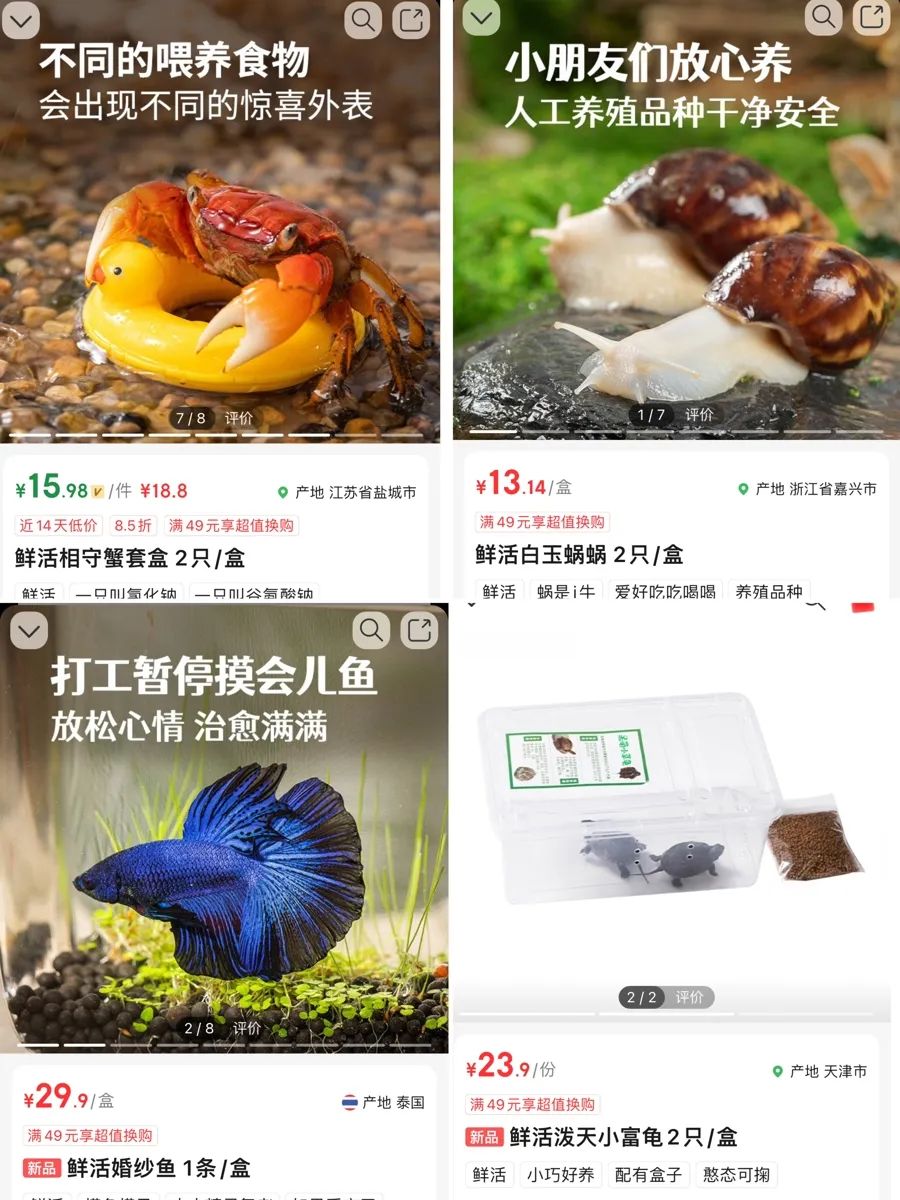 生鲜电商平台的非典型宠物