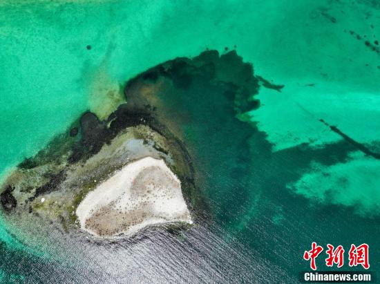 貢嘎來鬆 攝