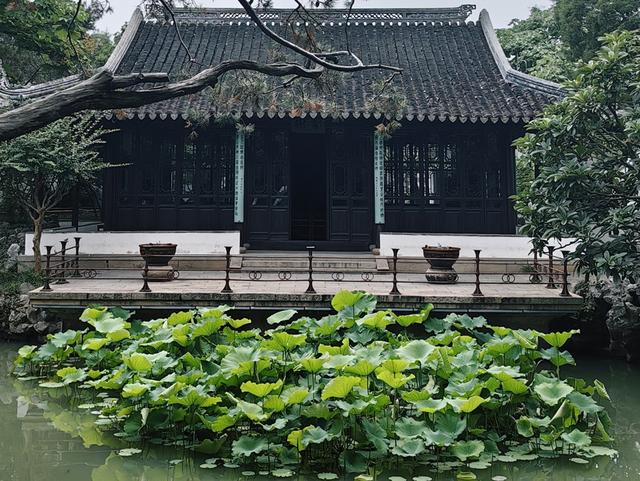 初夏的苏州园林绿意盎然 李欣欣 摄