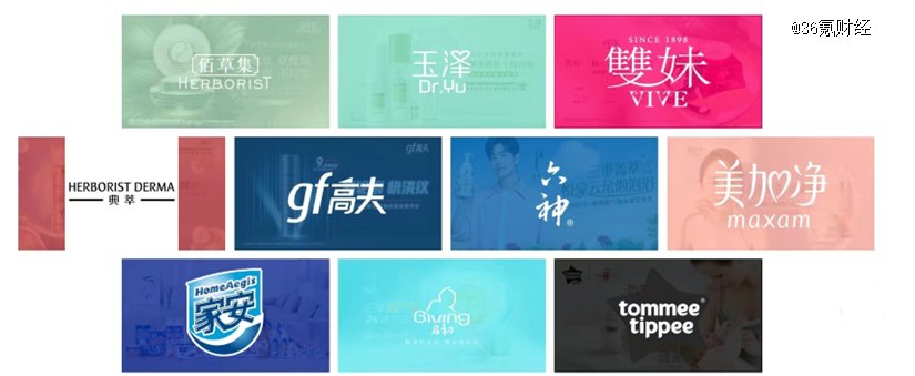 图片截自上海家化官网
