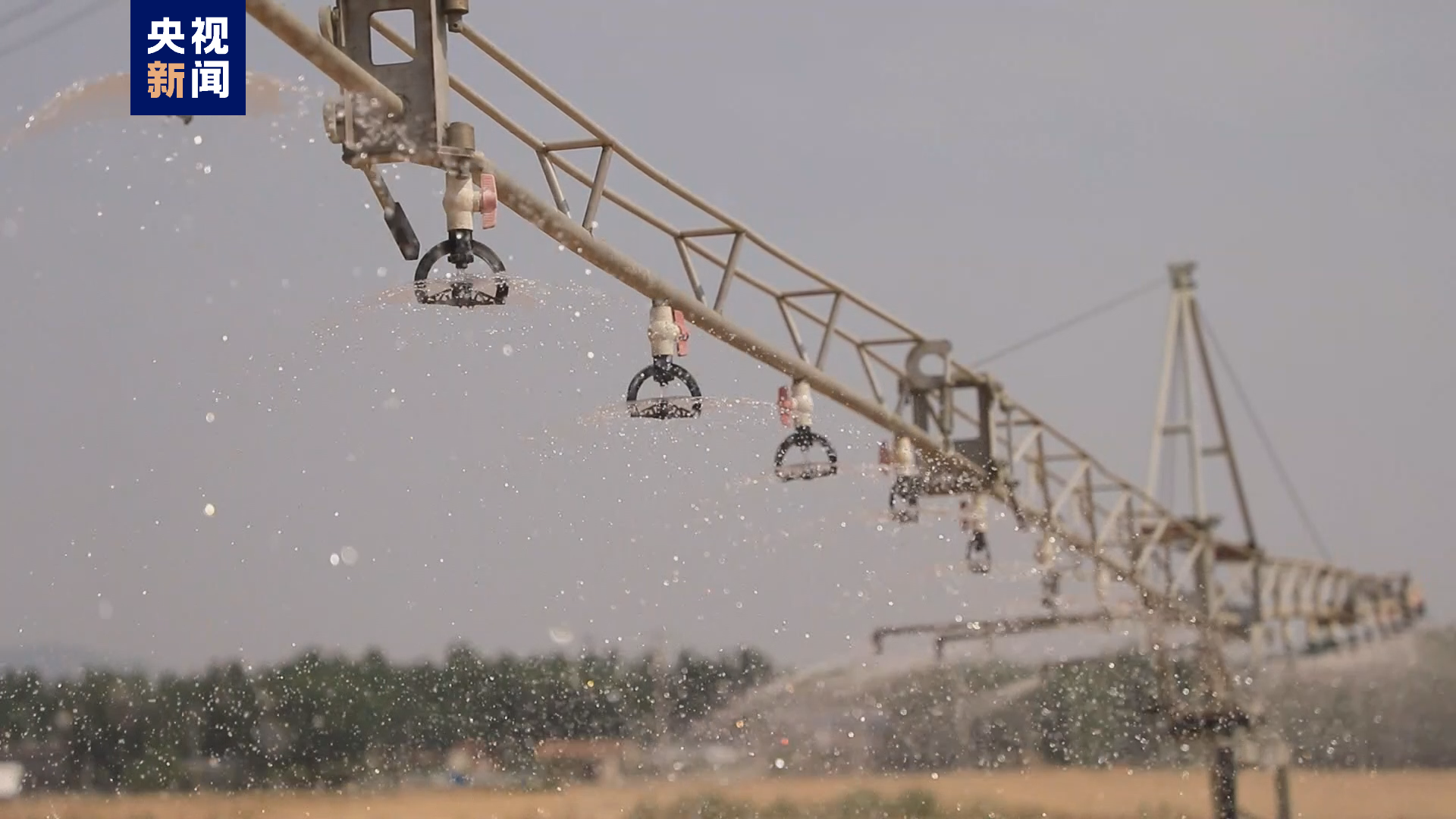 发芽的土豆可以吃吗有没有毒