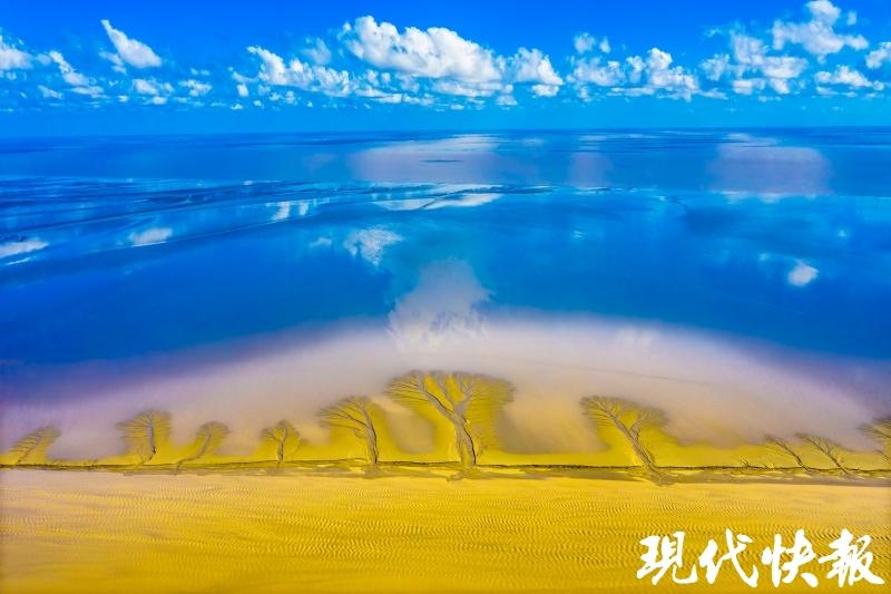 条子泥游玩攻略,条子泥旅游攻略